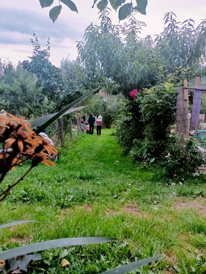 Zakatek Sloneczny Pod Barania Gora Farm stay *