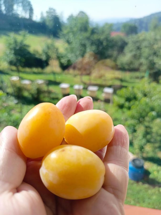 Farm stay Zakatek Sloneczny Pod Barania Gora
