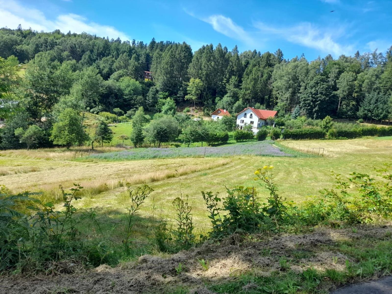 Zakatek Sloneczny Pod Barania Gora * Kamesznica