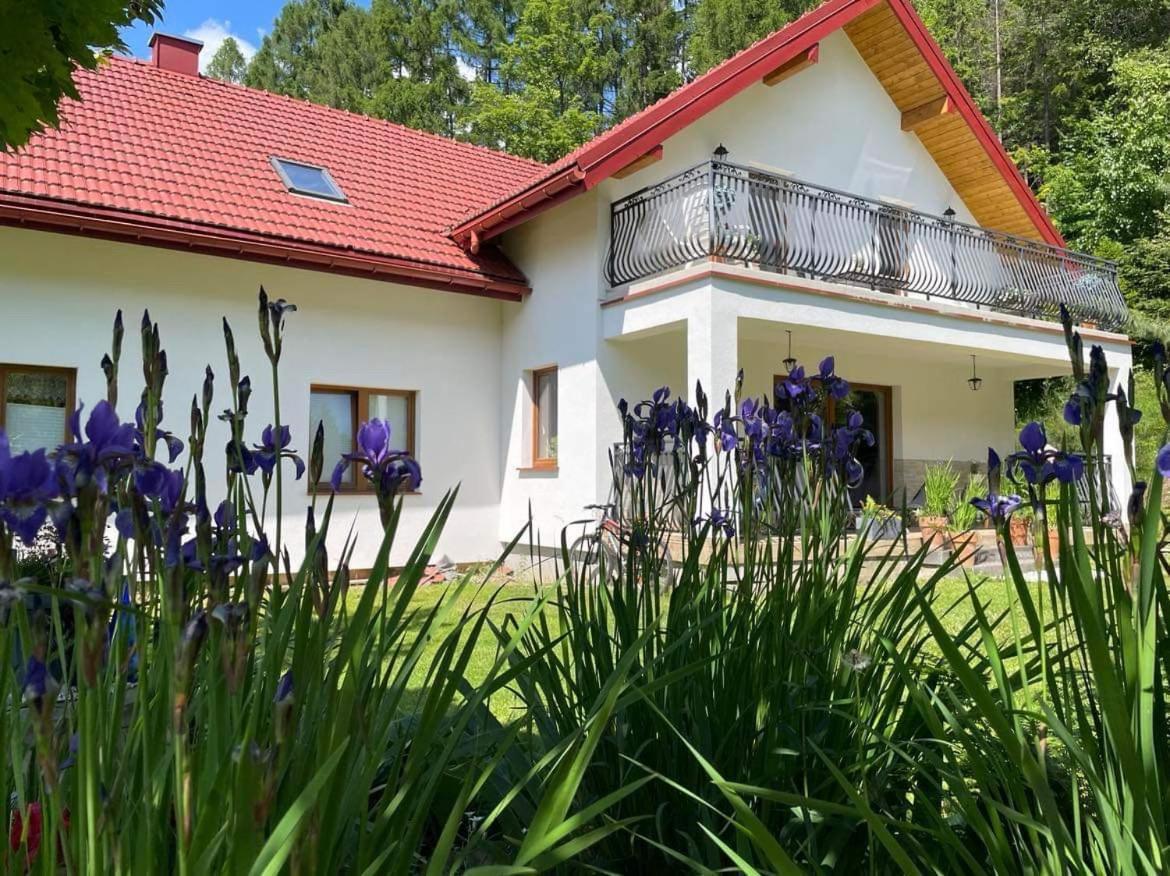 Zakatek Sloneczny Pod Barania Gora * Kamesznica