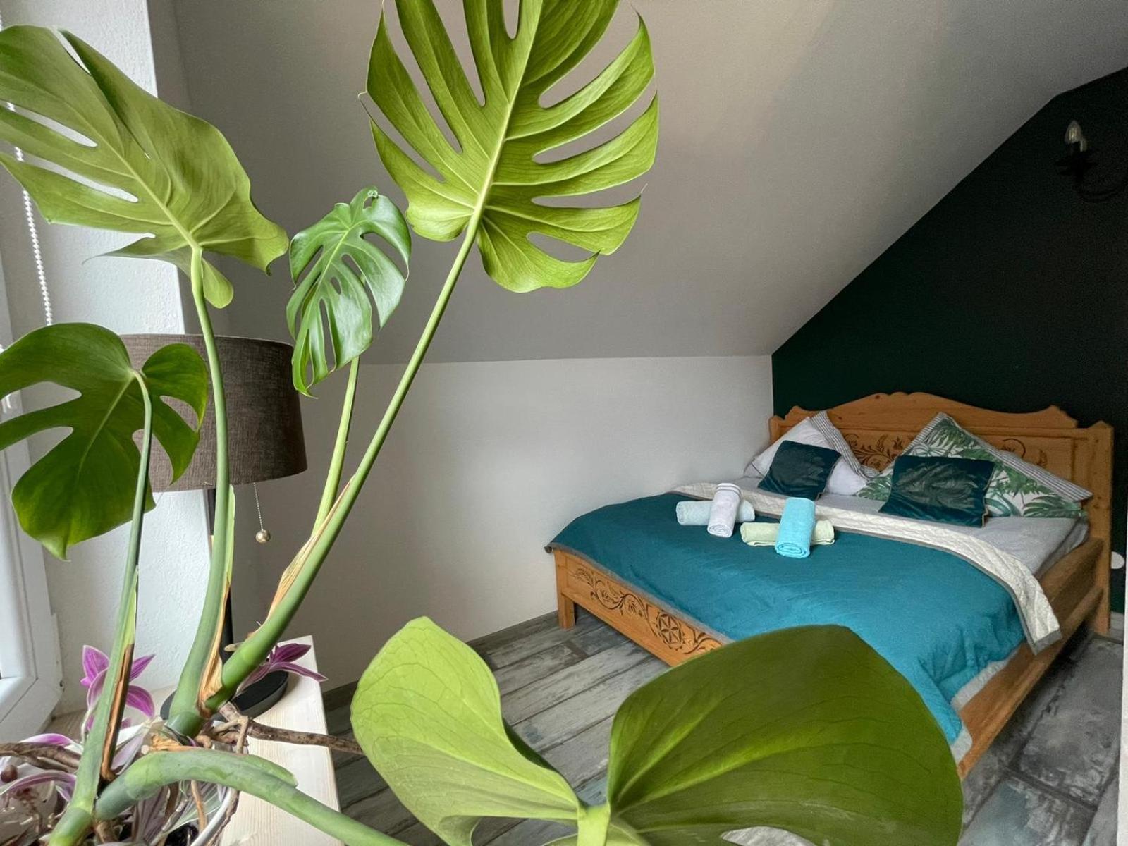 Zakatek Sloneczny Pod Barania Gora Farm stay