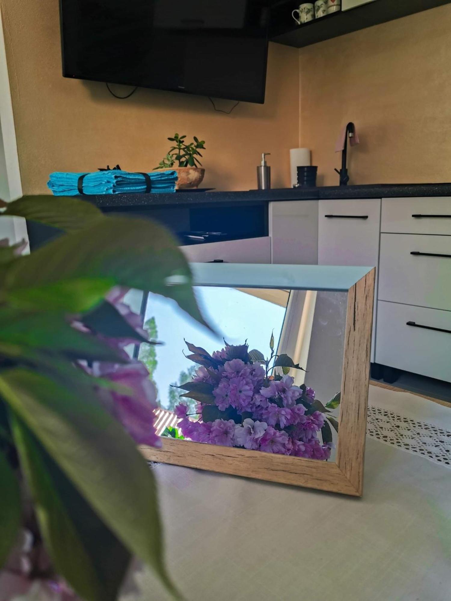 Zakatek Sloneczny Pod Barania Gora Farm stay Kamesznica